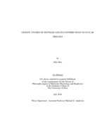 Genetic studies of SH3PXD2B and its contributions to ocular diseases