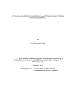 Gynecological tissue homeostasis and tumorigenesis studies using mouse models