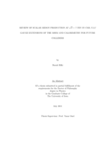 Review of scalar meson production at √S = 7 TeV in CMS, U(1)′ gauge extensions of the MSSM and calorimetry for future colliders