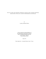 Role of aging and aerobic fitness on large elastic artery stiffness, brain structure and cognitive performance in humans