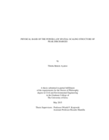 Physical basis of the power-law spatial scaling structure of peak discharges