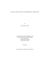 Essays on the elasticity of intertemporal substitution
