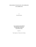 Mechanisms of TLR signaling and cooperation in B lymphocytes