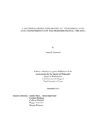 A Machine Learning Exploration of Topological Data Analysis Applied to Low and High Dimensional fMRI Data