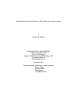Extracerebral vascular contributions to brain aging and cognitive decline