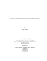 Novice teacher identity negotiation in secondary schools