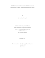 Multi-scale experimental investigation of the hydrodynamic characteristics of a blunt and streamlined submersible object