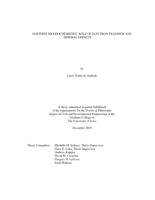 Goethite biogeochemistry: role of electron transfer and mineral defects