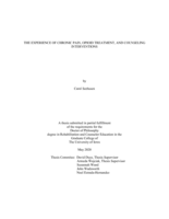 The experience of chronic pain, opioid treatment, and counseling interventions