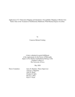 Application of T2* relaxation mapping and quantitative susceptibility mapping to monitor iron redox state in the treatment of glioblastoma multiforme with pharmacological ascorbate