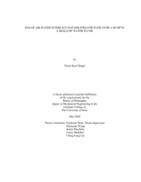 DNS of air-water interface instabilities for flow over a bump in a shallow water flume