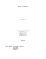 Between Nets and Figures