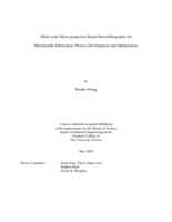 Multi-scale micro-projection based stereolithography for microneedle fabrication: process development and optimization