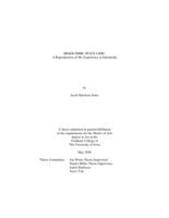 SPACE-TIME, SPACE-LIME: a reproduction of my experience in intermedia