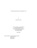 The developmental expression and regulation of tau