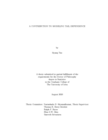 A contribution to modeling tail dependence