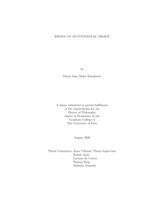 Essays on occupational choice