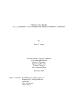 Writing that reads: collage poetics and aesthetic techniques as media literacies