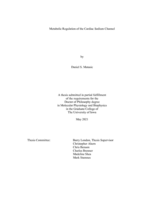 Metabolic regulation of the cardiac sodium channel