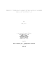 The study of Fermilab long-baseline neutrino fluxes and NA61/SHINE (CERN) 60 GeV pion incident data