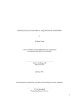 Contextually Cued Visual Sequences of Attention