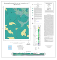 Bedrock Geologic Map of the Salem 7.5' Quadrangle, Henry and Lee Counties, Iowa