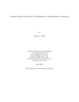 Understanding the Human Gut Microbiota: A Mathematical Approach