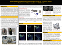 Experimental Investigation of Hypoplastic Left Heart Syndrome (HLHS)