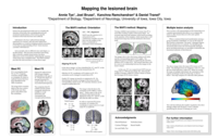 Mapping the lesioned brain (methodological poster)