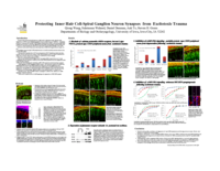 Protecting Inner Hair Cell-Spiral Ganglion Neuron Synapses from Excitotoxic Trauma