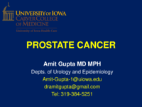 Prostate Cancer Basics