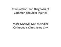Shoulder Exam