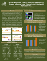 Single-Nucleotide Polymorphisms in SMARCA2 as Related to Frontal Lobe Gray Matter Volume in Individuals with Schizophrenia.