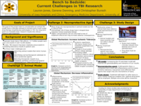 Bench to Bedside:  Current Challenges in TBI Research