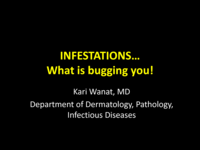Skin Findings Secondary to Infestation or Vectors