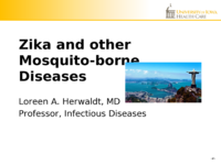 Zika Virus & Other Mosquito Borne Illnesses