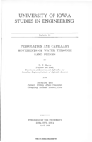 Percolation and capillary movements of water through sand prisms