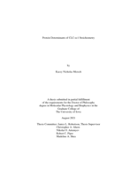 Protein determinants of CLC-ec1 stoichiometry