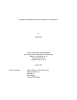 Regulation of pathogenic immune responses to coronaviruses