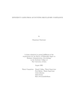 Efficiency gains from accounting regulatory compliance