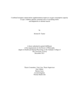 Combined inorganic nitrate/nitrite supplementation improves oxygen consumption capacity in Type 2 diabetic patients: potential roles of circulating nitrite and adaptations in skeletal muscle