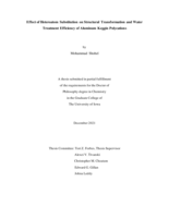 Effect of heteroatom substitution on structural transformation and water treatment efficiency of aluminum Keggin polycations
