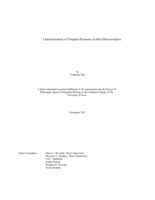 Characterization of ubiquitin dynamics in mice photoreceptors