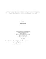 System factors influencing stress in healthcare workers during the COVID-19 pandemic: a case study and scoping review