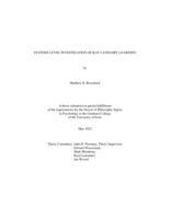 Systems level investigation of rat category learning