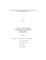 Bubble entrainment and transport with application to ship hydrodynamics