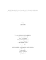 Skein theory and its applications to tensor categories