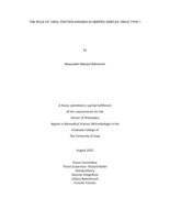 The role of viral protein kinases in herpes simplex virus type-1