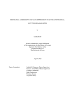 Histologic assessment and gene expression analysis of intraoral soft tissue donor sites