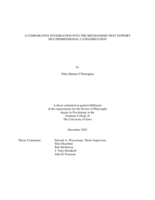 A comparative investigation into the mechanisms that support multidimensional categorization